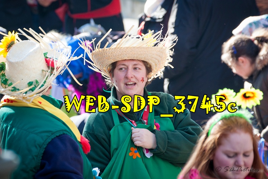 WEB SDP 3745c