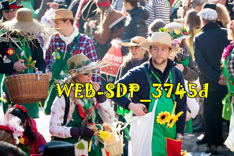 WEB SDP 3745d