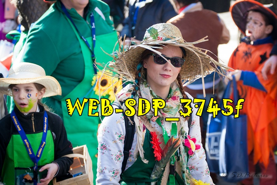WEB SDP 3745f