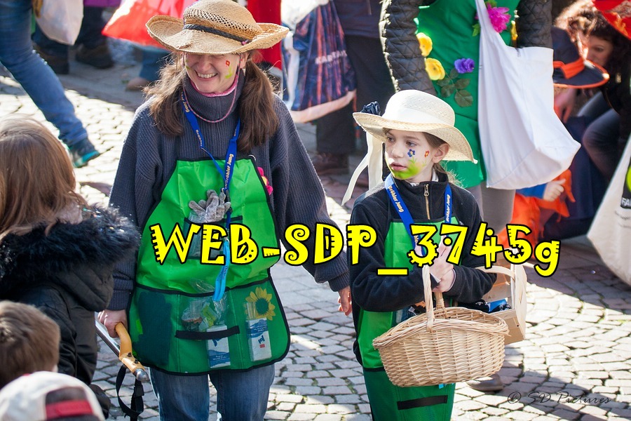 WEB SDP 3745g
