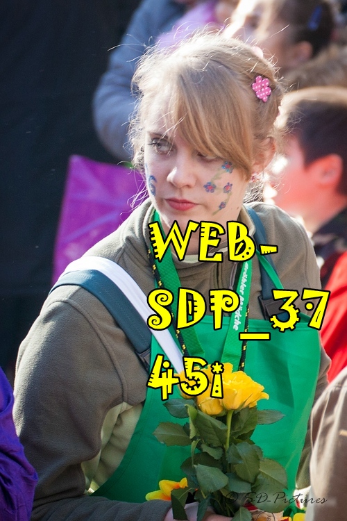 WEB SDP 3745i