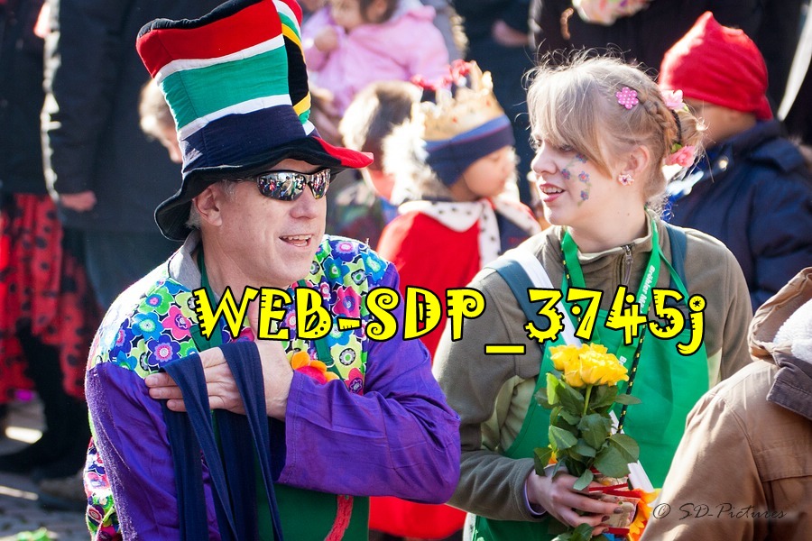 WEB SDP 3745j