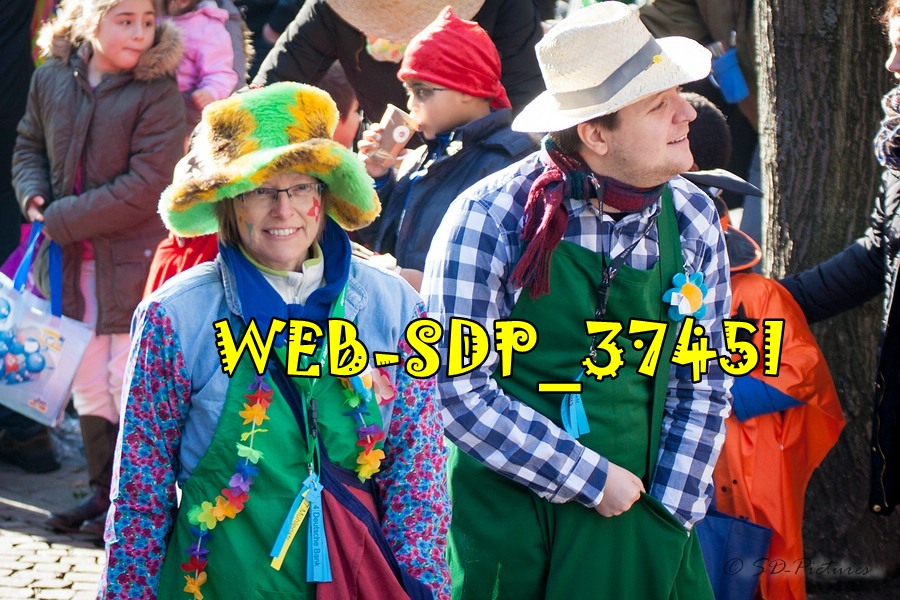 WEB SDP 3745l