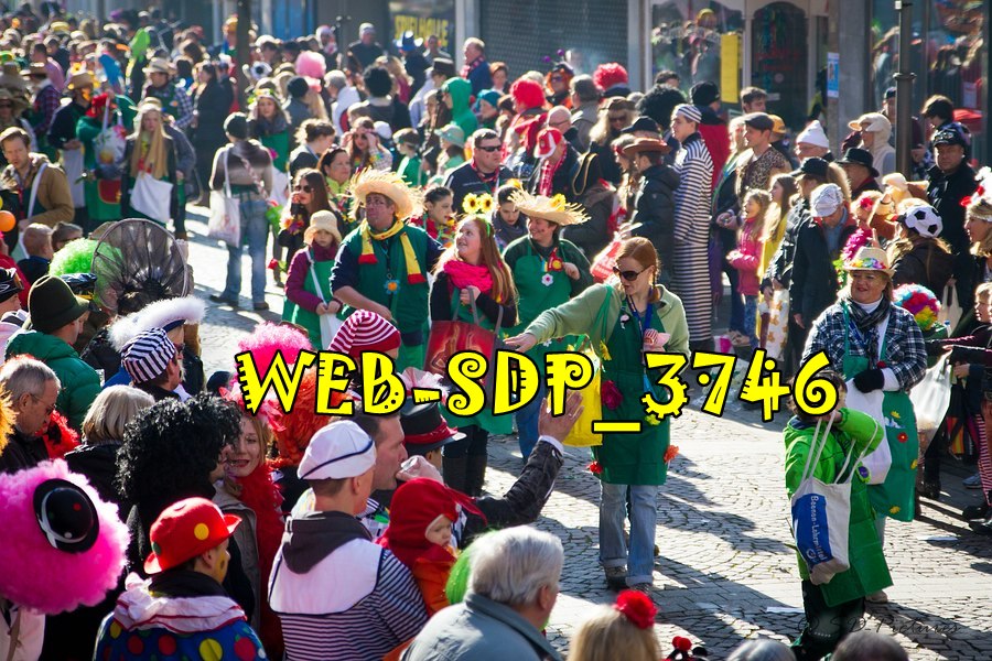 WEB SDP 3746