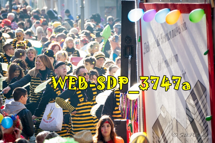 WEB SDP 3747a