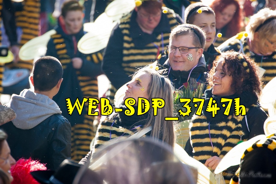 WEB SDP 3747h