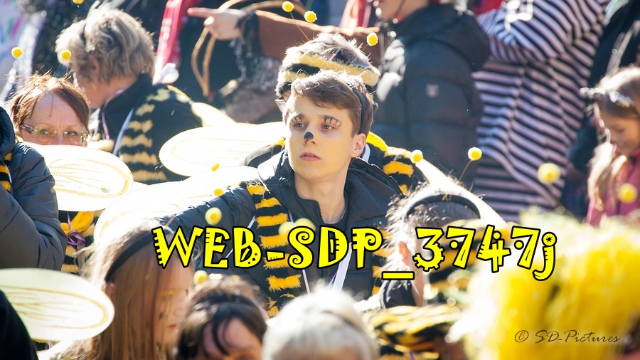 WEB SDP 3747j
