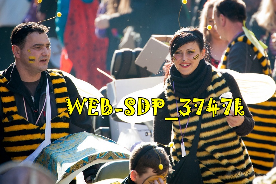 WEB SDP 3747k