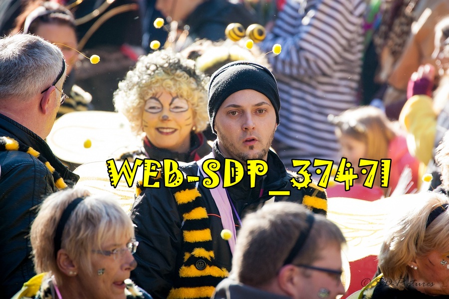WEB SDP 3747l