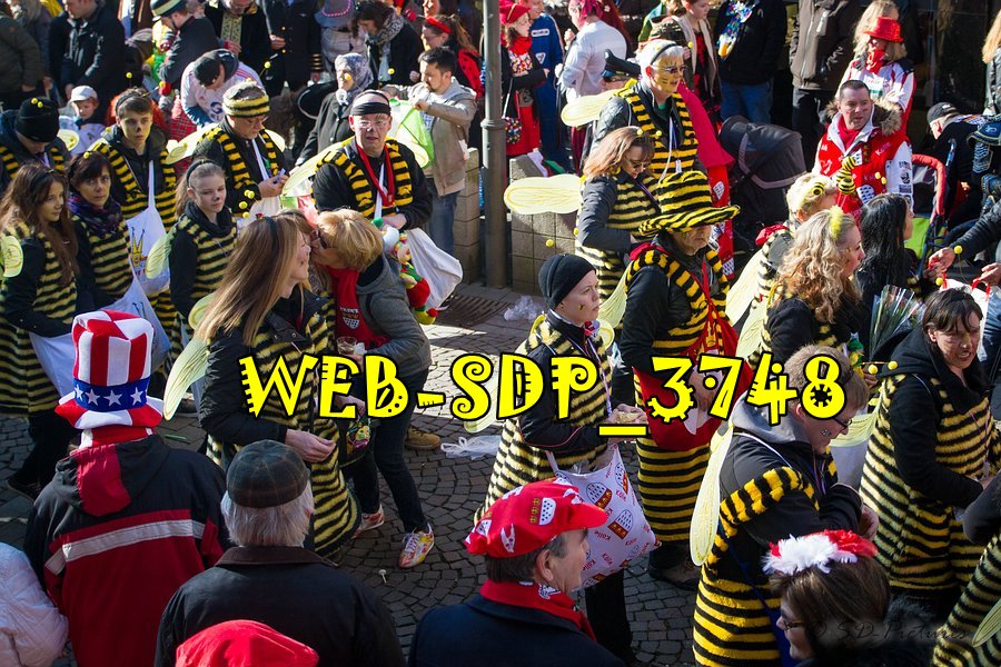 WEB SDP 3748
