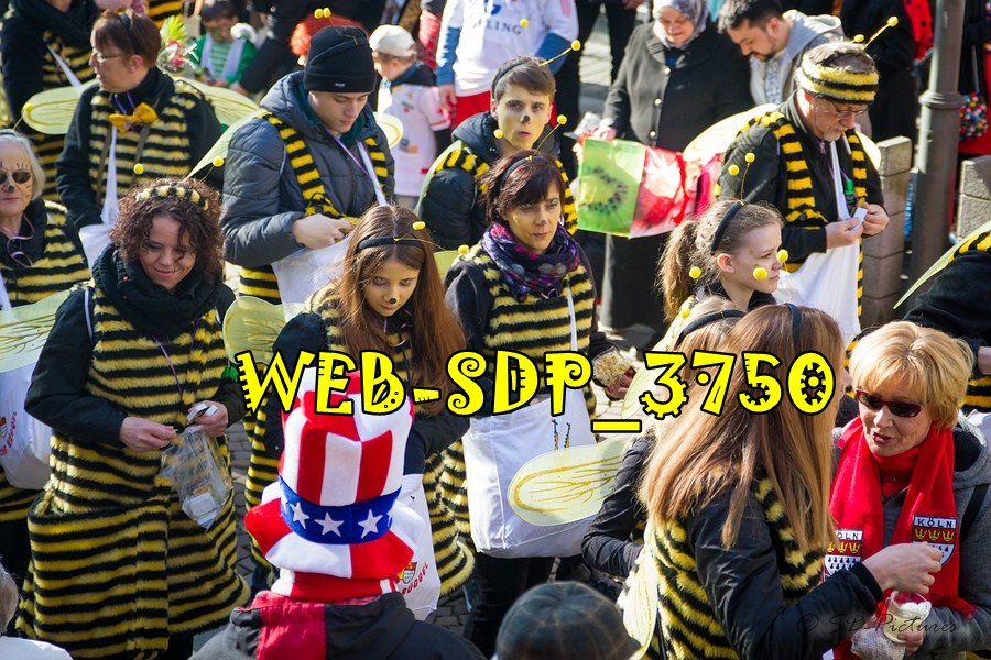 WEB SDP 3750