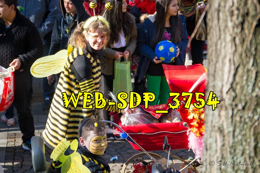WEB SDP 3754