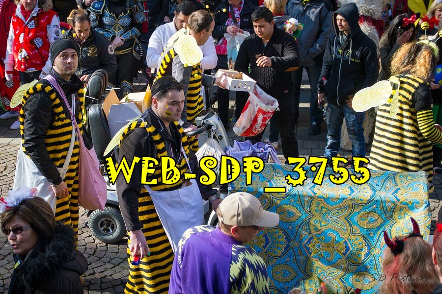 WEB SDP 3755