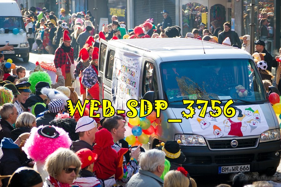 WEB SDP 3756