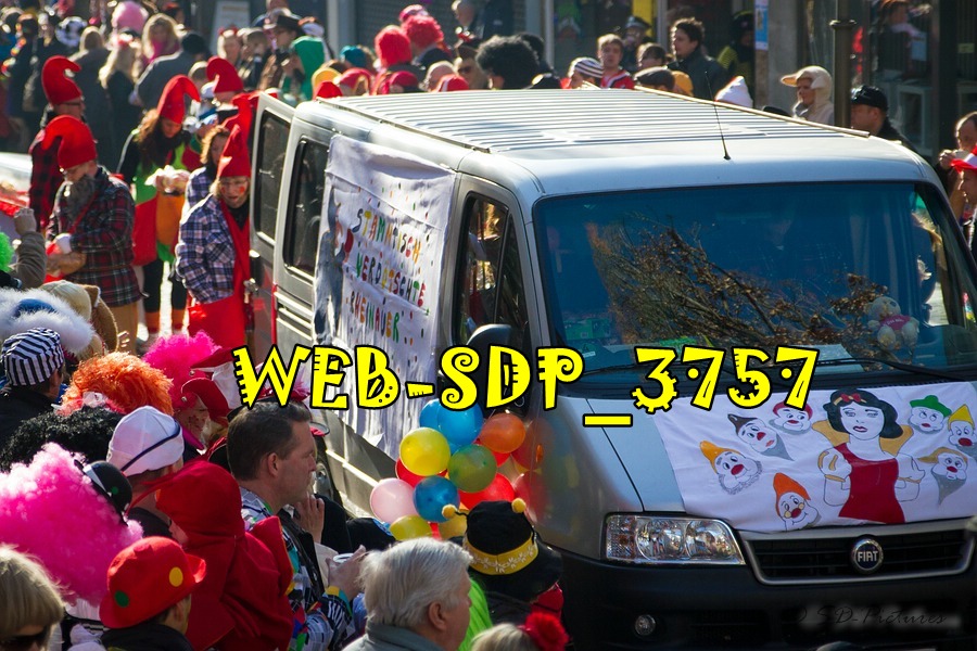 WEB SDP 3757