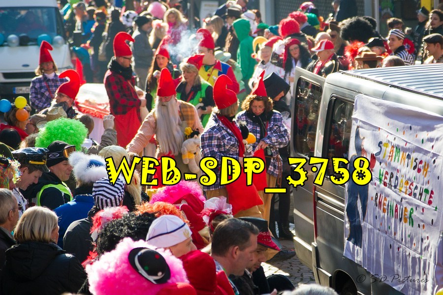 WEB SDP 3758