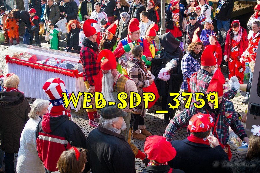 WEB SDP 3759
