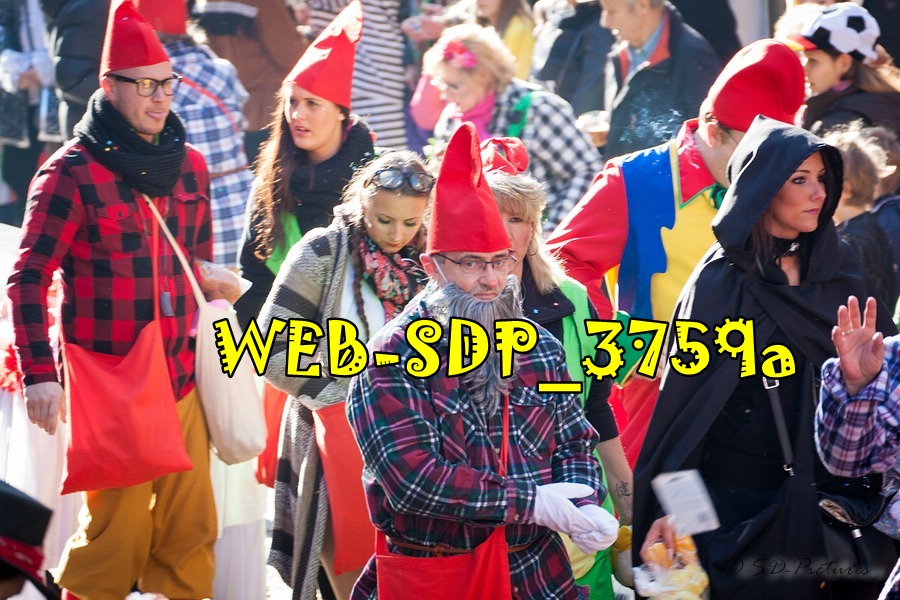 WEB SDP 3759a
