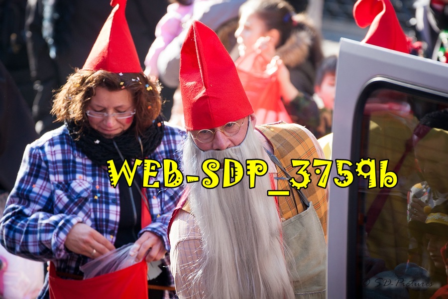 WEB SDP 3759b