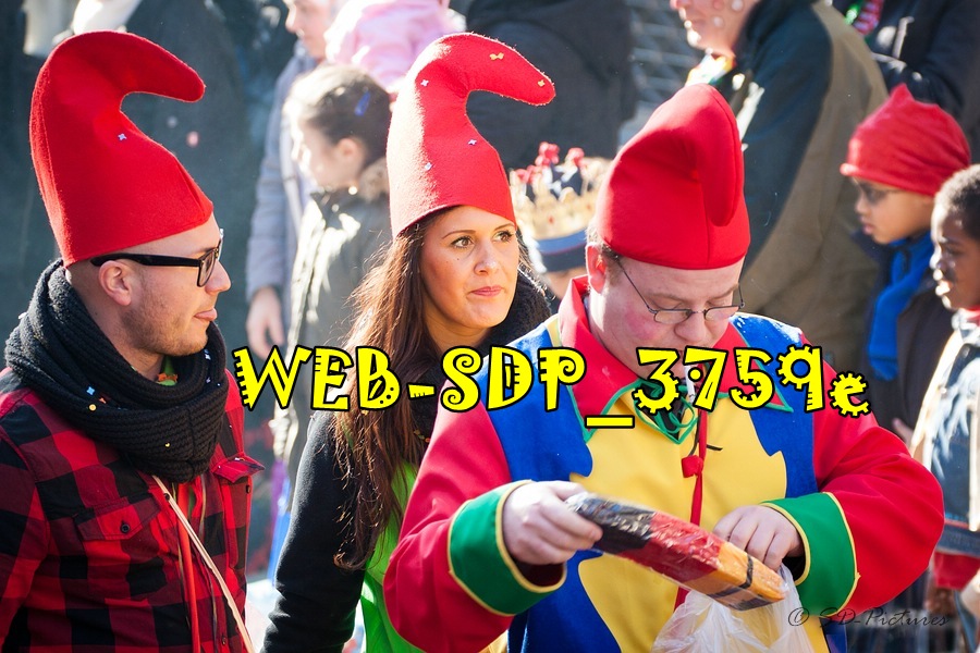 WEB SDP 3759e