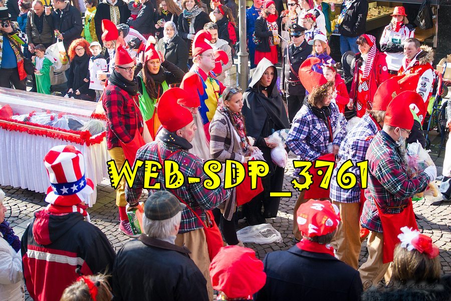 WEB SDP 3761