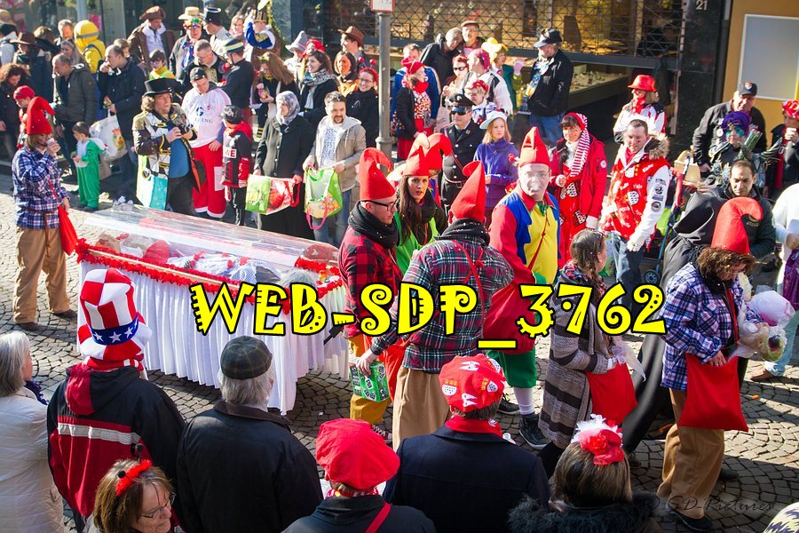 WEB SDP 3762
