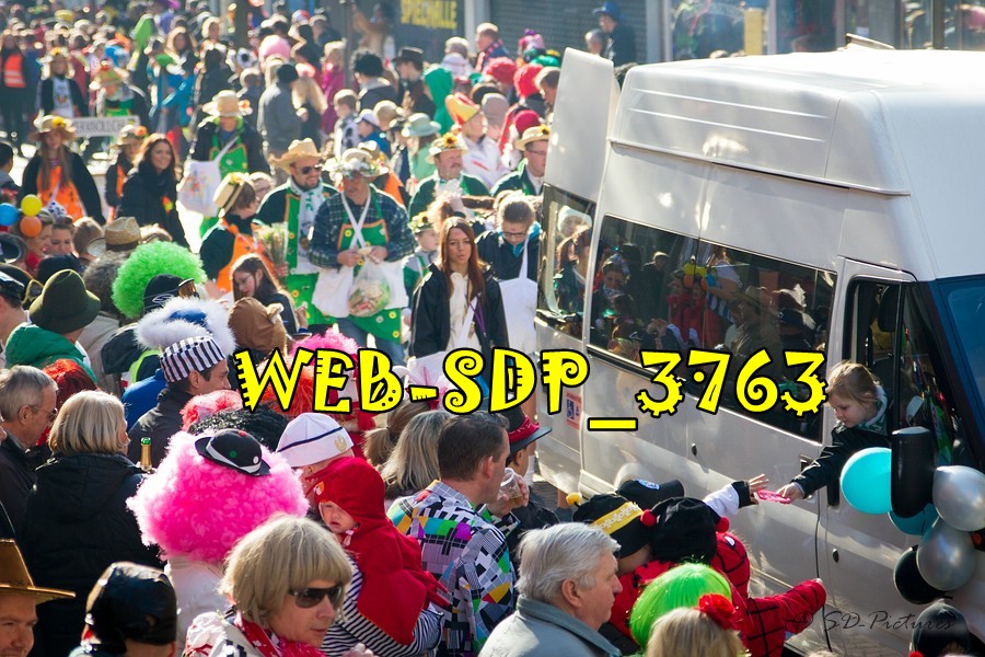 WEB SDP 3763