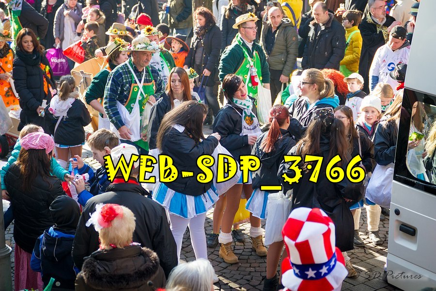 WEB SDP 3766