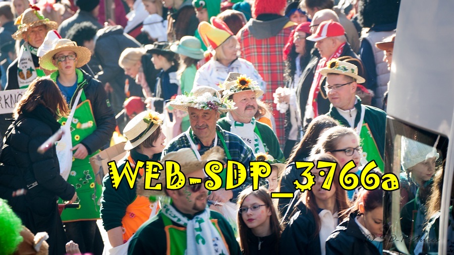 WEB SDP 3766a