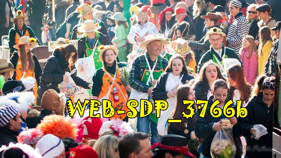 WEB SDP 3766b
