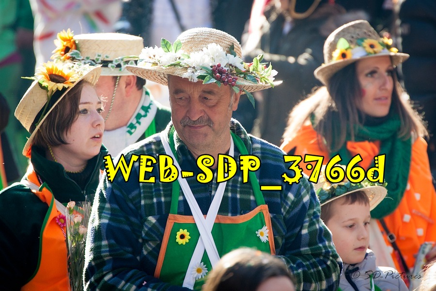 WEB SDP 3766d
