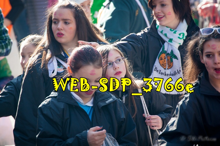 WEB SDP 3766e