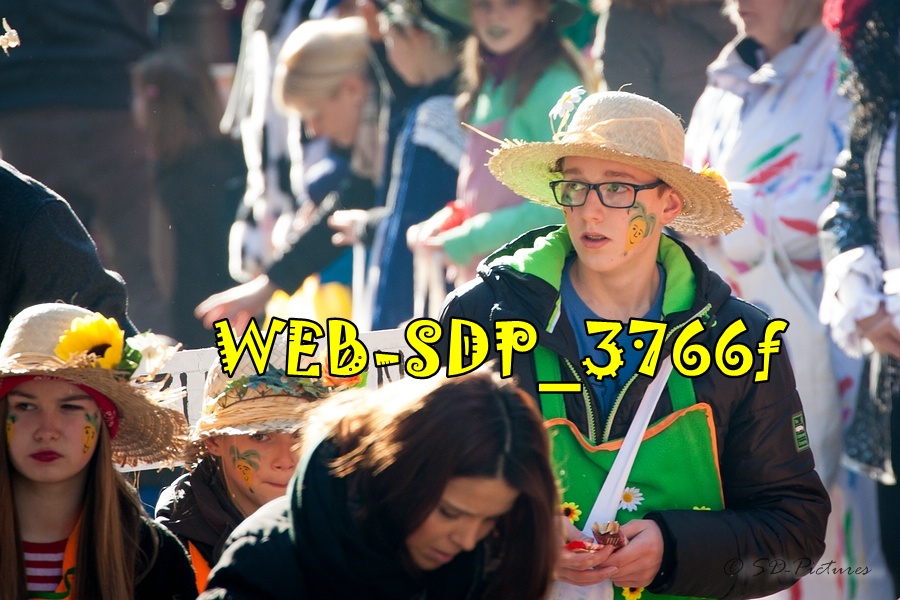 WEB SDP 3766f