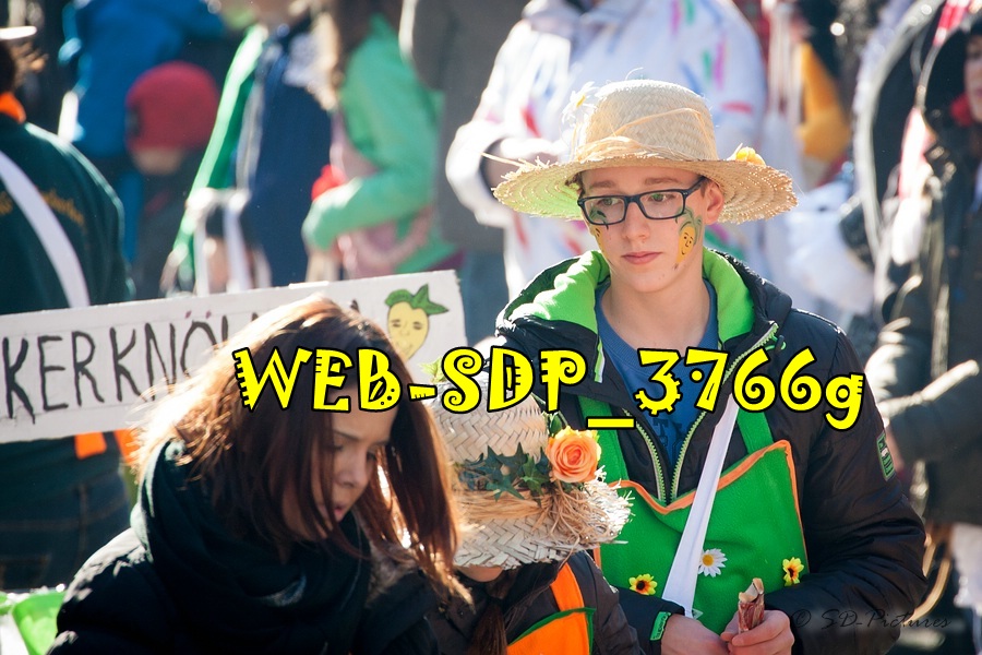 WEB SDP 3766g