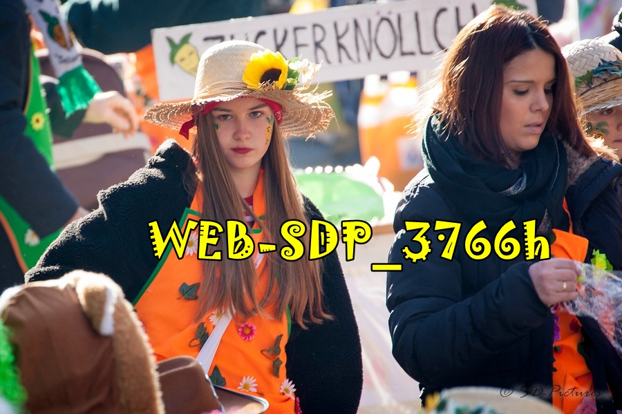 WEB SDP 3766h