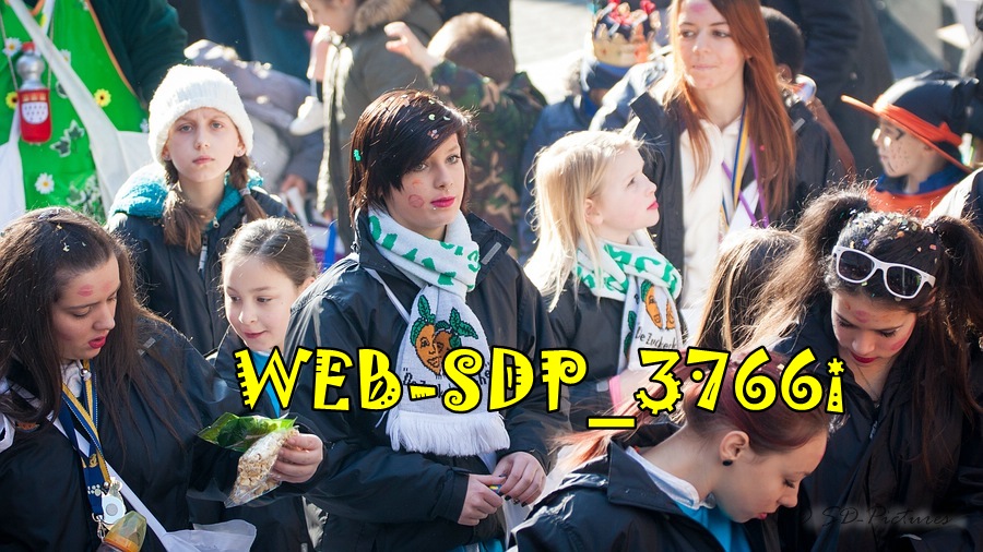 WEB SDP 3766i