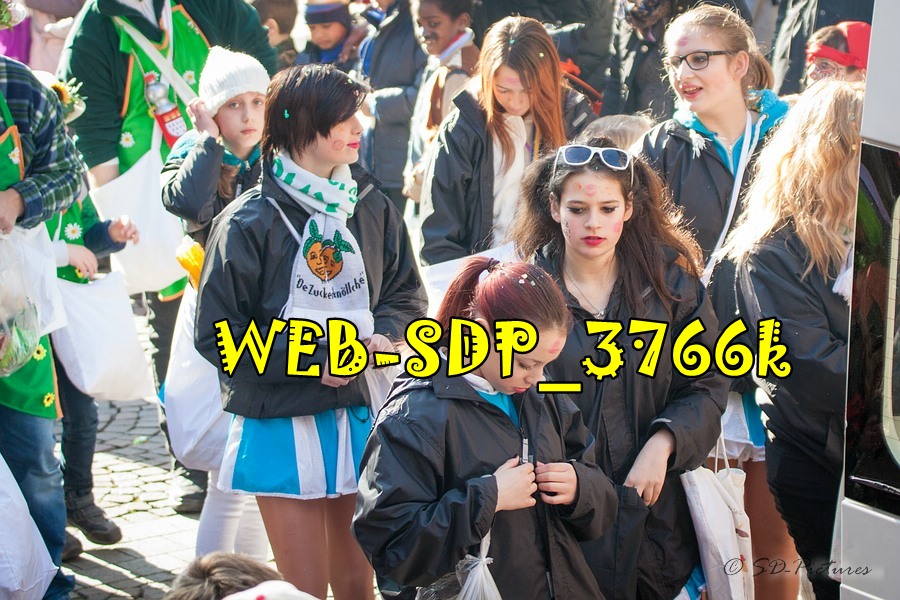 WEB SDP 3766k