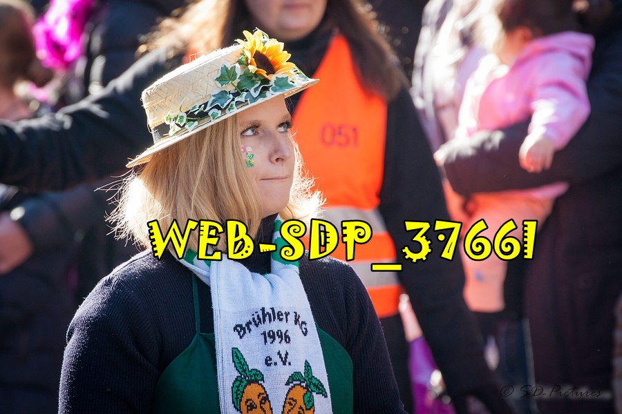 WEB SDP 3766l