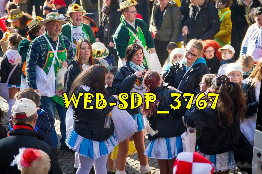 WEB SDP 3767