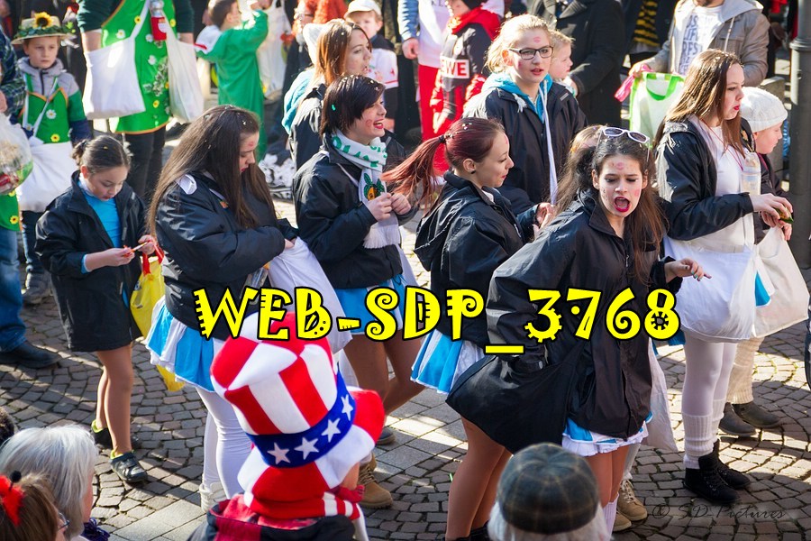 WEB SDP 3768