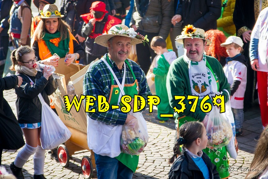 WEB SDP 3769