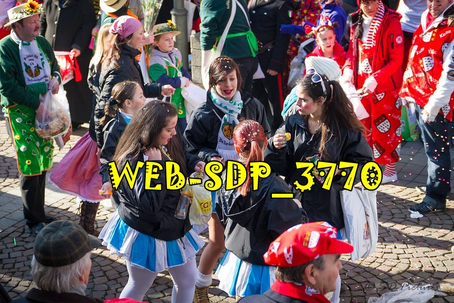WEB SDP 3770