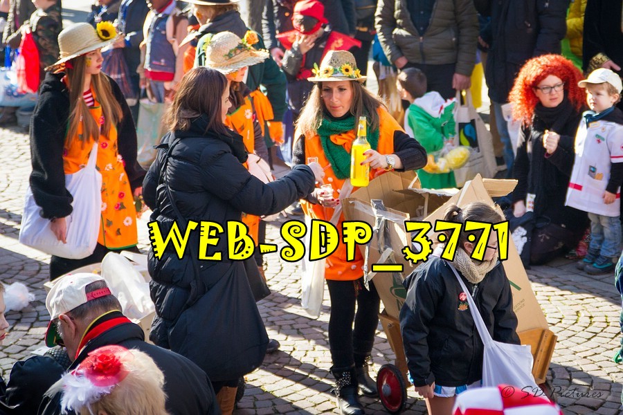 WEB SDP 3771