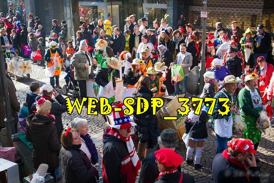 WEB SDP 3773