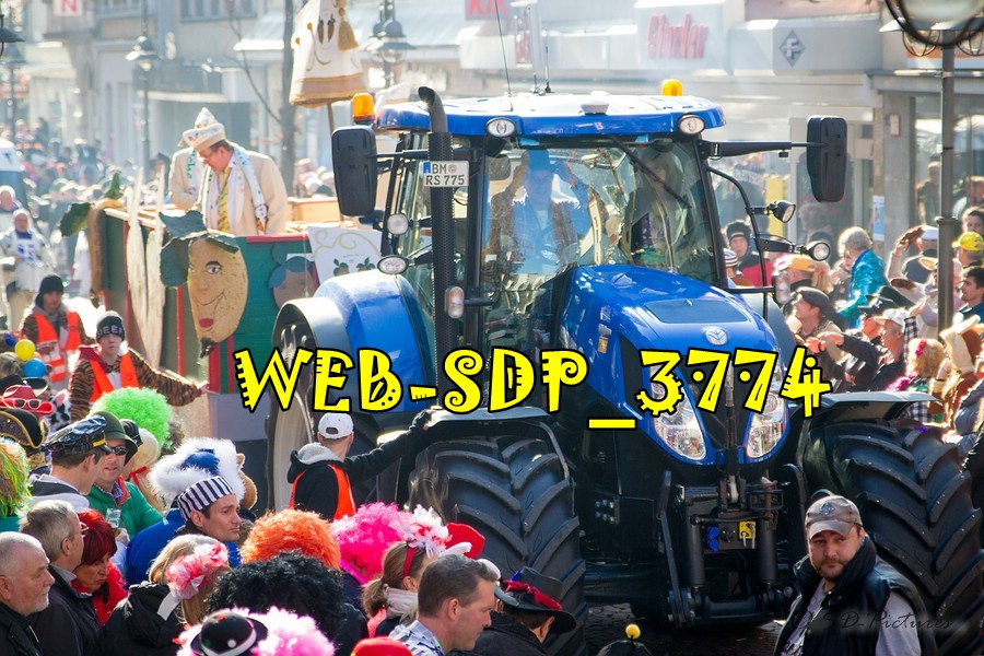 WEB SDP 3774