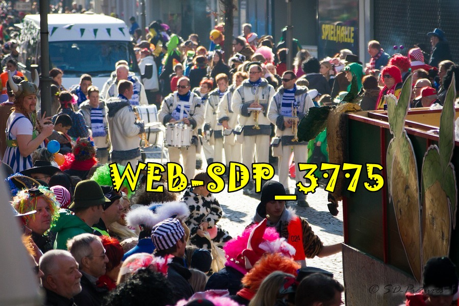 WEB SDP 3775