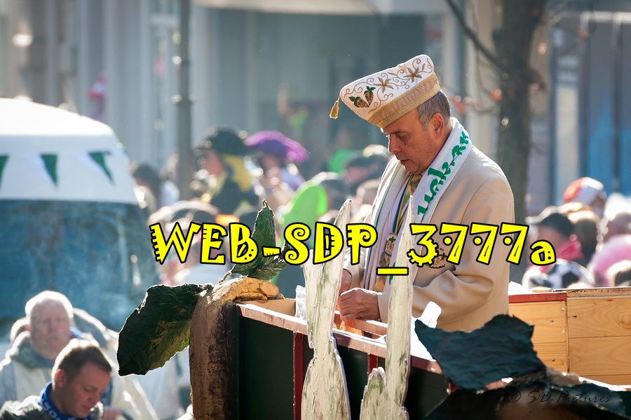 WEB SDP 3777a