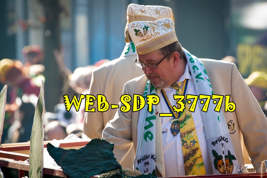 WEB SDP 3777b