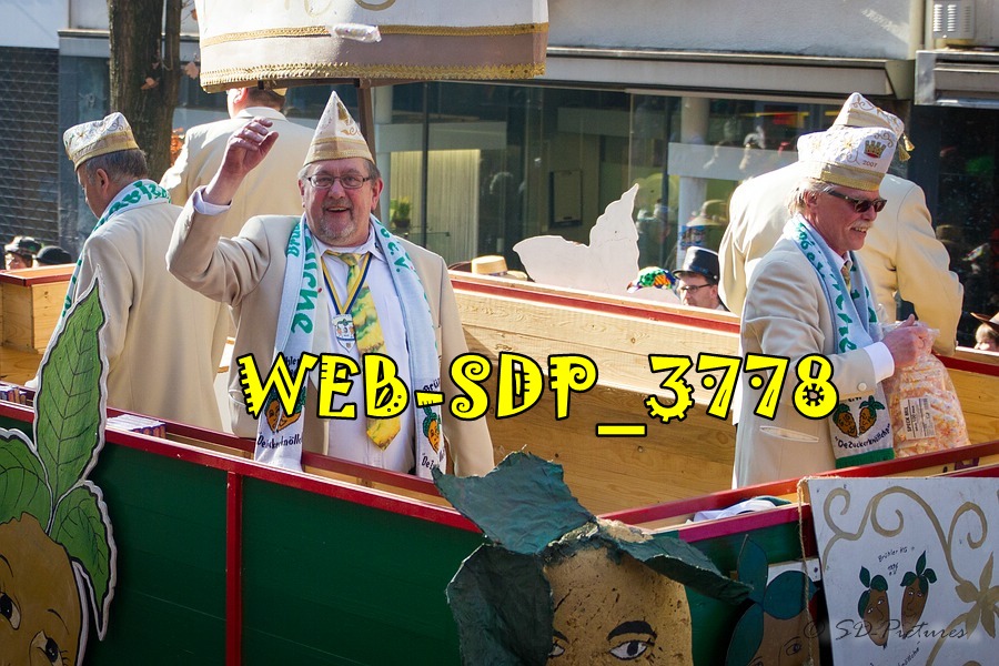 WEB SDP 3778