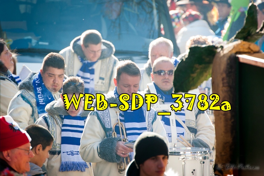 WEB SDP 3782a
